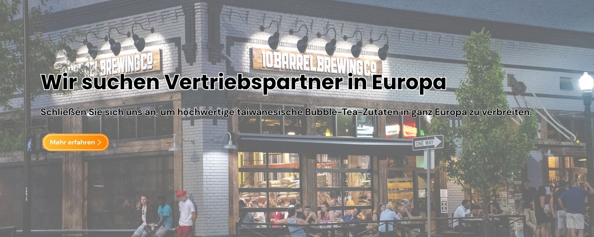 Wir suchen Vertriebspartner in Europa